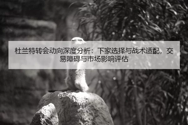 杜兰特转会动向深度分析：下家选择与战术适配，交易障碍与市场影响评估
